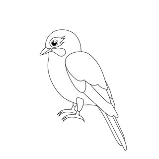 Graceful Perch: A Delightful Bird Illustration