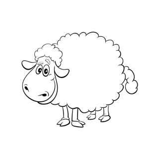 Woolly Wonders: Exploring Life on the Farm