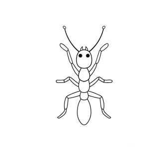 Exploring the World of Ants: A Close-Up Illustration