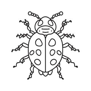 Detailed Line Drawing of a Ladybug