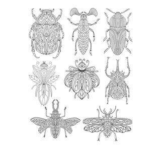 Artistic Entomology: A Collection of Intricately Designed Insects