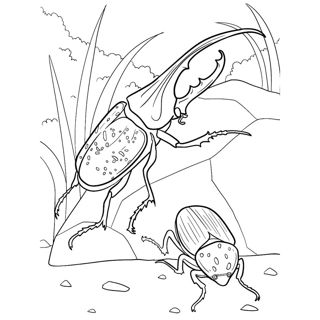 Exploring the World of Beetles: A Close-Up Adventure
