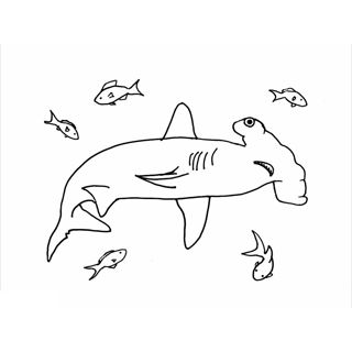 Hammerhead Shark and Friends: An Ocean Adventure